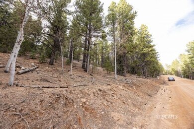 Road View