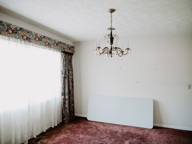 222 Old Ailey Lothair Rd, Mount Vernon, GA 30445 - photo 7