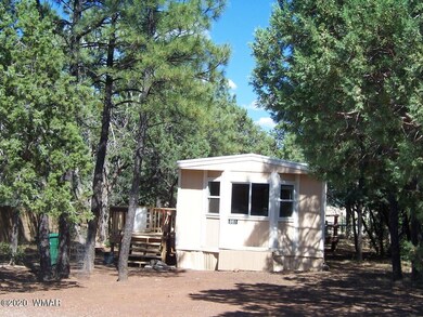 981 S 10th Dr, Show Low, AZ 85901 - photo 2
