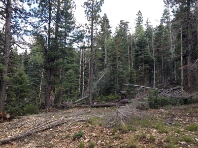 805 & 815 W Shale Cir unit ZVME E 138 & 139, Duck Creek Village, UT 84762 - photo 3