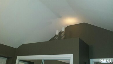 3507 W Queen Ann Ct, Peoria, IL 61615 - photo 7