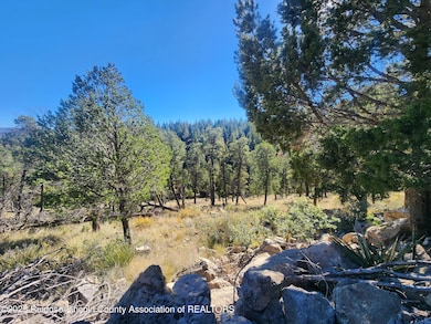 Lot 4 Guenevere Ave, Ruidoso, NM 88345 - photo 5