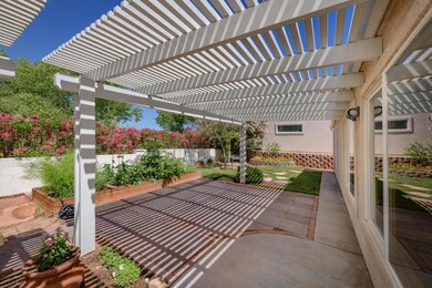 2 - Backyard