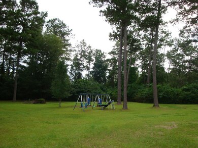 23233 Mitchell Rd, Picayune, MS 39466 - photo 3