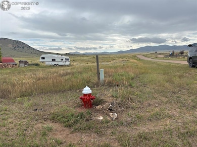 207 Butler St, Silver Cliff, CO 81252 - photo 2