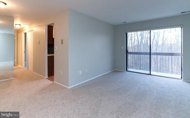10602 Partridge Ln unit A2, Cockeysville, MD 21030 - photo 3