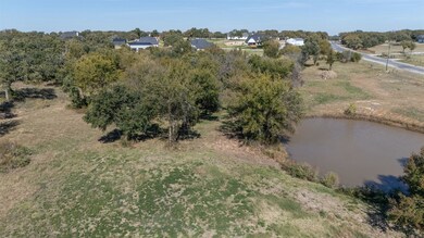 193 Hansma Way, Weatherford, TX 76087 - photo 6