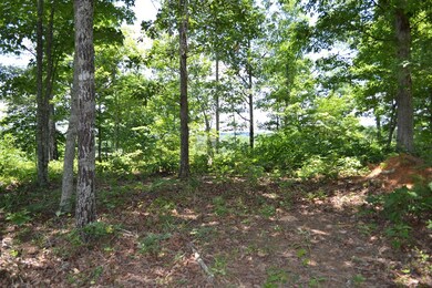 Mid Lot 1