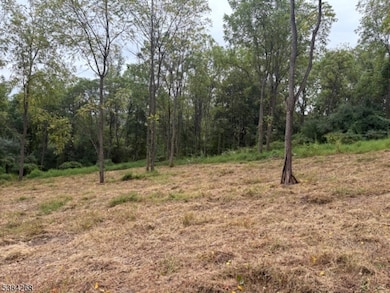 19-23-29 Swayze Mill Rd, Hope, NJ 07825 - photo 6