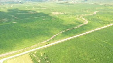 DJI_0289