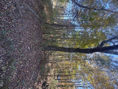 7730 Highway 75, Pinson, AL 35126 - photo 3