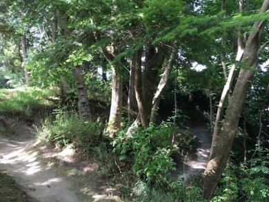 Lot 17 Mckenzie Way, Point Roberts, WA 98281 - photo 4