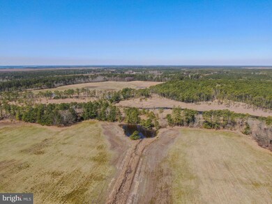 2132 Liners Rd, Church Creek, MD 21622 - photo 4