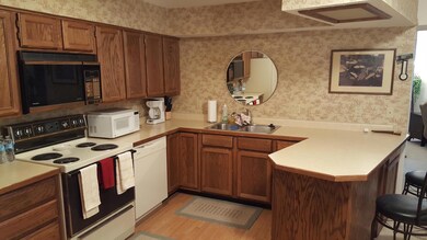 117 E Steam Engine unit 10A, Brian Head, UT 84719 - photo 6