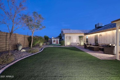 Backyard2