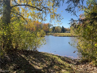 10685 Butternut Rd, Chesterland, OH 44026 - photo 2