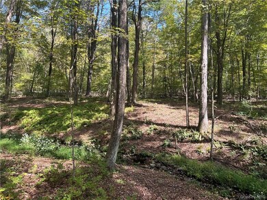0 Westfall Rd, Ancram, NY 12502 - photo 4