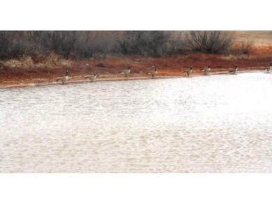 Shared Pond