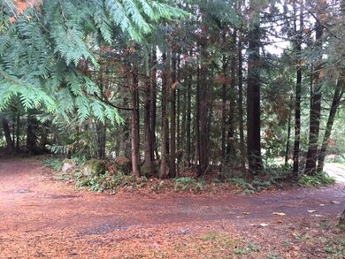 22602 149th Ave E, Graham, WA 98338 - photo 4