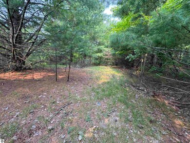 Lot #1 E Bellinger Rd unit 1, Cedar, MI 49621 - photo 4