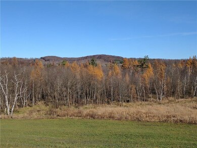 0 Stark Rd unit 1527243, Menomonie Township, WI 54751 - photo 4