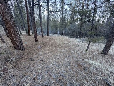 0 Bobcat Cir unit 3007431, Beatty, OR 97621 - photo 6