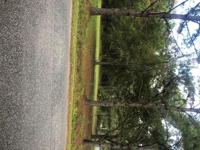 0 Pritcha Green Rd unit 18030070, Mount Pleasant, SC 29429 - photo 4