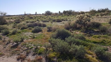 20170215_093615