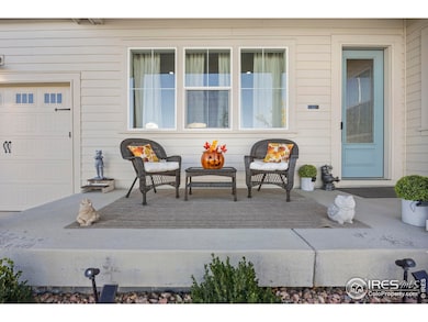 286 Mt Elbert St, Brighton, CO 80601 - photo 3