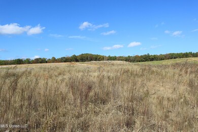 Tract 8 Hugh White State Park Road-4