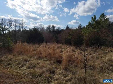 16 Ridgeview Dr, Ruckersville, VA 22968 - photo 4