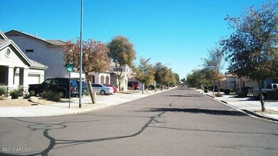 Tree Lined Streets