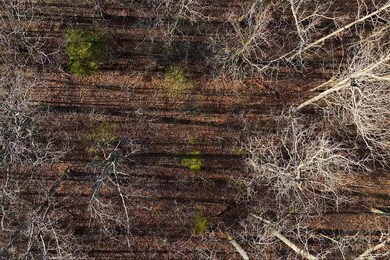 302 Spring Woods Rd, Dittmer, MO 63023 - photo 7