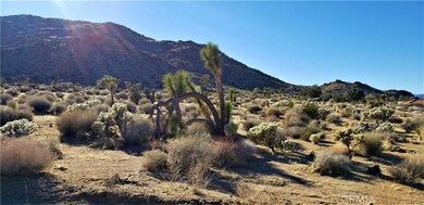 7900 Wesley Rd, Joshua Tree, CA 92252 - photo 2