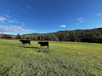 0000 Whitmore Rd, Whitmore, CA 96096 - photo 2