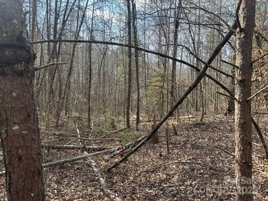 0 Sunshine Acres unit CAR4228639, Sylva, NC 28779 - photo 7