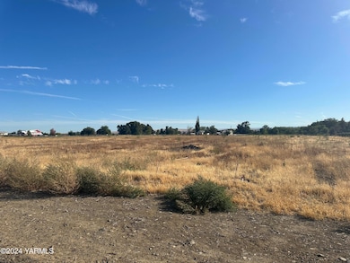 NKA Branch Rd, Toppenish, WA 98948 - photo 5