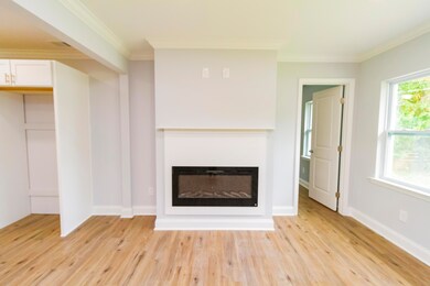 Electric Fireplace