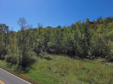 State Route 329, Armadale, OH 45711 - photo 6