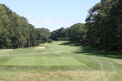 Golf fairway