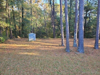 TBD County Road 36, Hartford, AL 36344 - photo 4