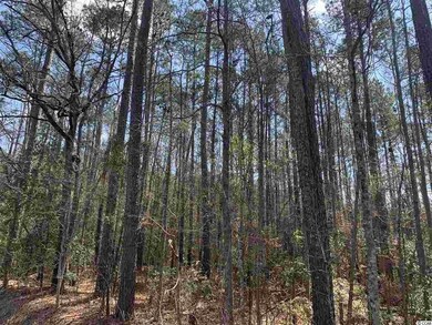 TBD-A2 Highway 668, Conway, SC 29526 - photo 2