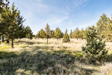 0 SW Peninsula Dr unit Lot 173 220199686, Terrebonne, OR 97760 - photo 4
