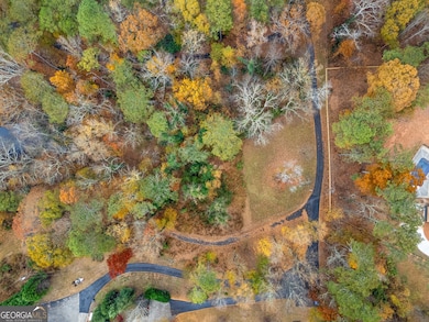 3116 Batesville Rd, Woodstock, GA 30188 - photo 5