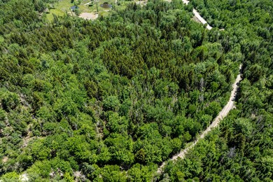 362 Duck Cove Road Roque Bluffs (4 of 21