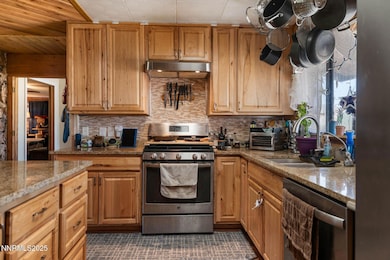 100 Nugget Ln, Dayton, NV 89403 - photo 7