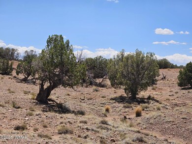 27 N 9183, Concho, AZ 85924 - photo 6