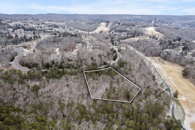 Lot 9 Ledges Way (11)