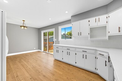 6830 Appletree St, Hanover Park, IL 60133 - photo 5