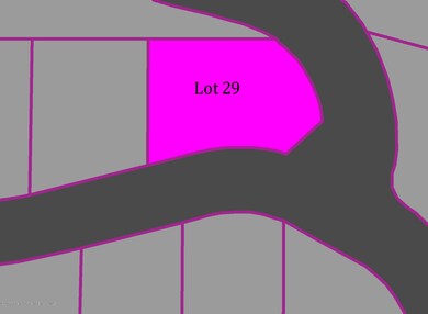 lot 29